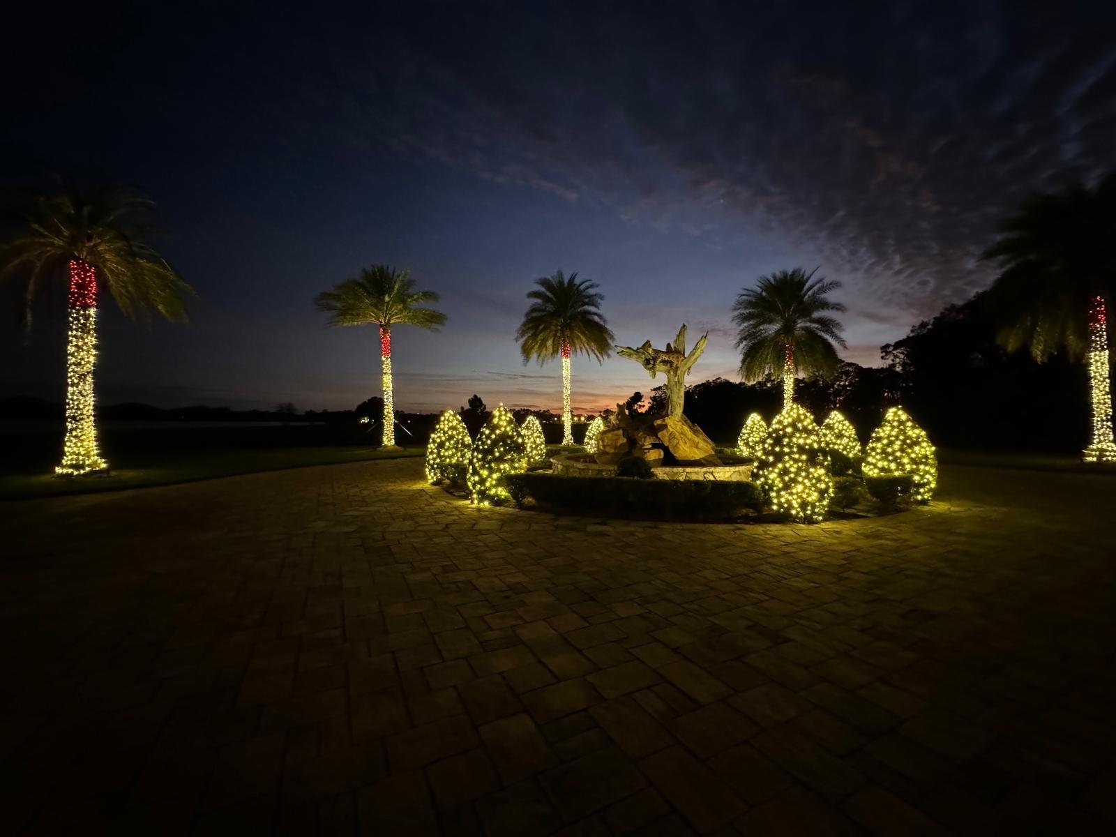 Northern Lights Florida lighting project 20